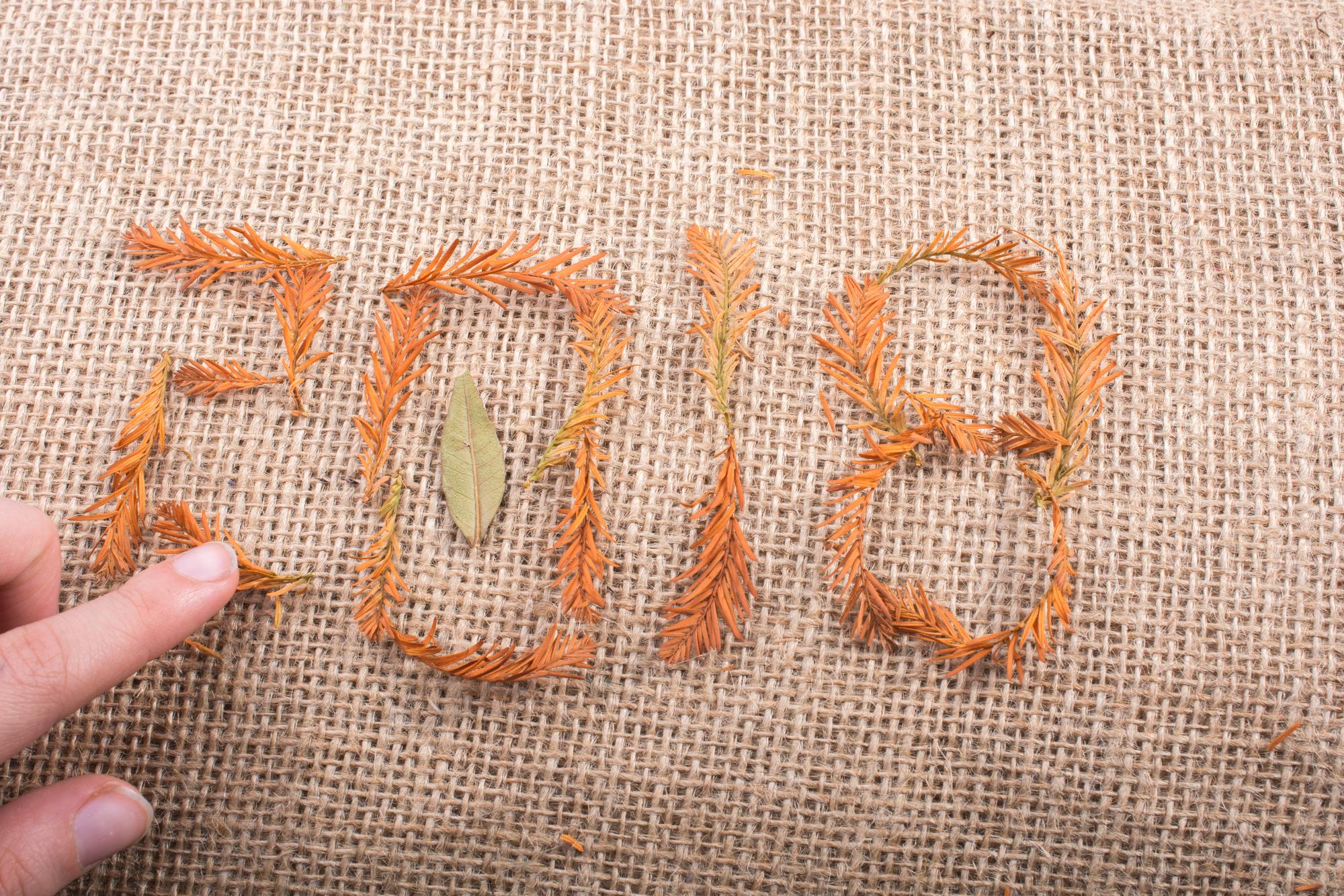 neat backstitch lettering on linen